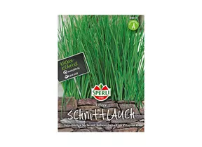 Samen Sperli - Schnittlauch Twiggy Samen Sperli - Schnittlauch Twiggy