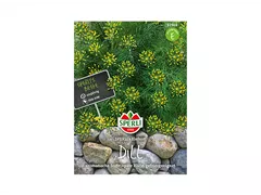 Samen Sperli - Dill Sperlings Elefnat Samen Sperli - Dill Sperlings Elefnat