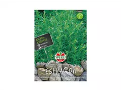 Samen Sperli - Estragon Kleiner Drache Samen Sperli - Estragon Kleiner Drache