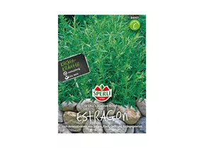 Samen Sperli - Estragon Kleiner Drache Samen Sperli - Estragon Kleiner Drache