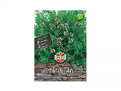 Samen Sperli - Thymian Di Roma Samen Sperli - Thymian Di Roma