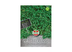 Samen Sperli - Gartenkresse Einfache grüne Maxi 50g