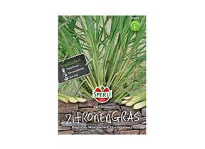 Samen Sperli - Zitronengras East Indian Samen Sperli - Zitronengras East Indian