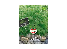 Samen Sperli - Küchenkräuter Dill Sari