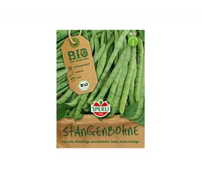 Samen Sperli - Bio-Stangenbohnen grün