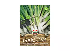 Samen Sperli - Lauchzwiebel Kaigaro Samen Sperli - Lauchzwiebel Kaigaro