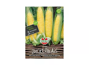 Samen Sperli - Zuckermais Tatonka