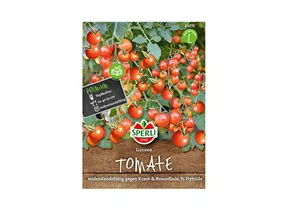 Samen Sperli - Tomaten Lizzano