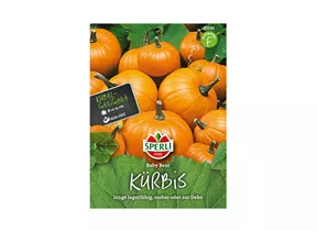 Samen Sperli - Kürbis Baby Bear Samen Sperli - Kürbis Baby Bear