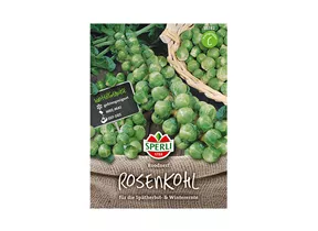 Samen Sperli - Rosenkohl Roodnerf Samen Sperli - Rosenkohl Roodnerf