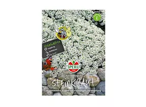 Samen Sperli - Steinkraut Schneeteppich Samen Sperli - Steinkraut Schneeteppich