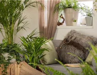 Innenraumbegrünung mit Lechuza - Von Zimmerpflanzen und Wasserspeichern