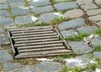 - Jäten, sprühen, hacken: Wie man Unkraut erfolgreich bekämpft  - Jäten, sprühen, hacken: Wie man Unkraut erfolgreich bekämpft