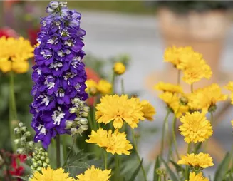 Mit dem richtigen Dünger Pflanzen beim Wachsen unterstützen
