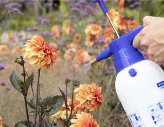 Nachhaltig und belebend – Bio-Dünger im Garten anwenden
