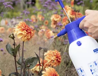 Nachhaltig und belebend – Bio-Dünger im Garten anwenden