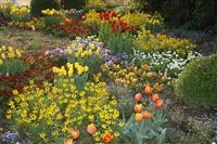 - So gelingt das ganze Jahr über ein blühender Garten!  - So gelingt das ganze Jahr über ein blühender Garten!