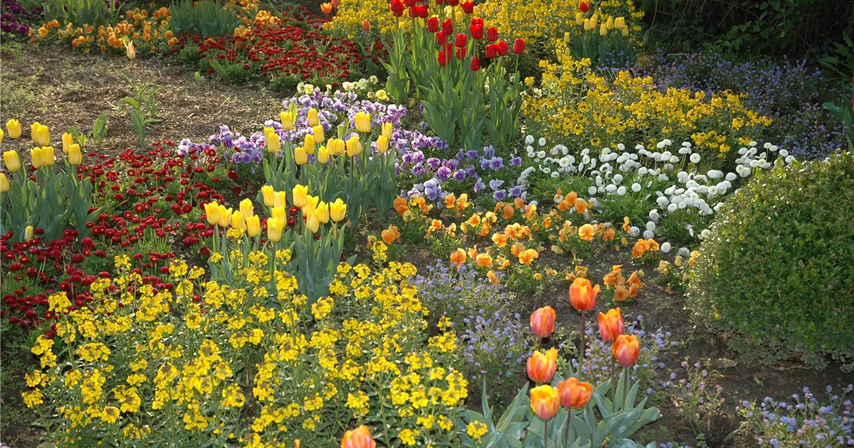  - So gelingt das ganze Jahr über ein blühender Garten!