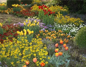 So gelingt das ganze Jahr über ein blühender Garten!