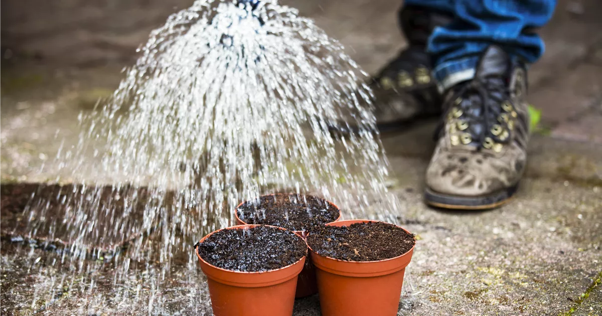  - Gartenbewässerung leicht gemacht – Tipps zum Thema Wasser