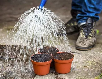 Gartenbewässerung leicht gemacht – Tipps zum Thema Wasser