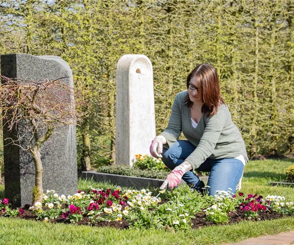 - Stilvolles Gedenken – die Grabbepflanzung  - Stilvolles Gedenken – die Grabbepflanzung