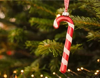 Deko für den Weihnachtsbaum – Von Anis bis Zuckerstange! Deko für den Weihnachtsbaum – Von Anis bis Zuckerstange!