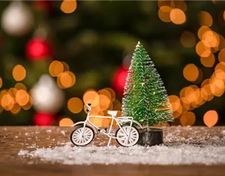 Den Garten an Weihnachten in die richtige Stimmung bringen Den Garten an Weihnachten in die richtige Stimmung bringen