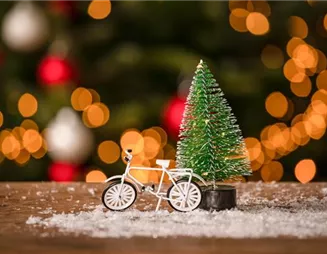 Den Garten an Weihnachten in die richtige Stimmung bringen Den Garten an Weihnachten in die richtige Stimmung bringen