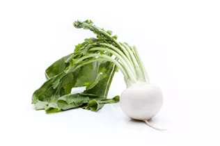 Brassica rapa subsp. rapa var. majalis - Mairübe