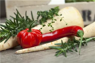 Capsicum annuum var. longum - Peperoni Capsicum annuum var. longum - Peperoni