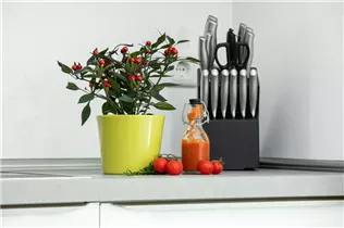 Capsicum annuum var. minimum 'Kleine Perle' - Mini-Chili 'Kleine Perle'