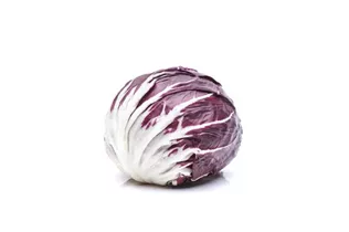 Cichorium intybus var. foliosum - Chicorée