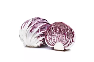 Cichorium intybus var. foliosum - Chicorée