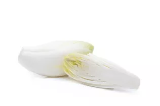 Cichorium intybus var. foliosum - Chicorée