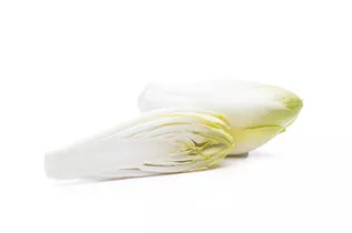 Cichorium intybus var. foliosum - Chicorée