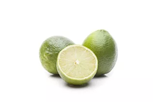 Citrus latifolia - Caipi-Limette Citrus latifolia - Caipi-Limette