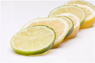 Citrus limetta 'Romana' - Süße Limette 'Romana'