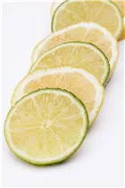 Citrus limetta 'Romana' - Süße Limette 'Romana'