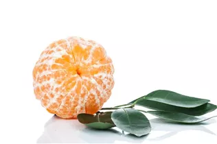 Citrus reticulata - Mandarine