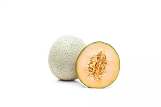 Cucumis melo 'Galia' - Zuckermelone 'Galia'