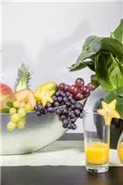 Cucumis melo var. cantalupensis - Cantaloupe-Melone