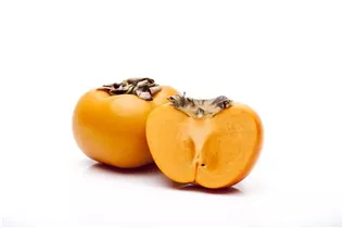 Diospyros kaki - Kaki