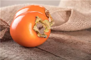 Diospyros kaki - Kaki