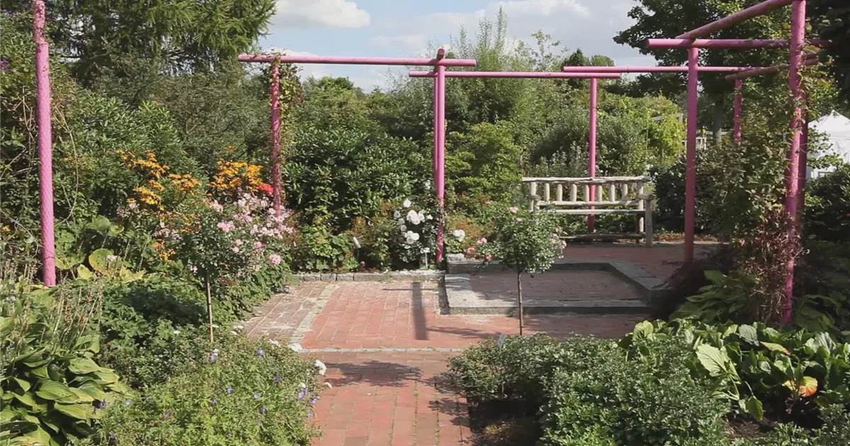  - Gartengestaltung - Immergrüner Garten