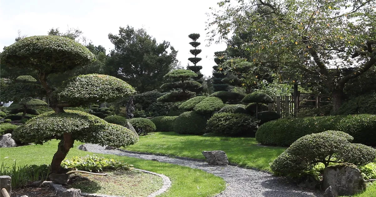  - Gartengestaltung - Japangarten