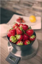 Fragaria x ananassa - Garten-Erdbeere Fragaria x ananassa - Garten-Erdbeere