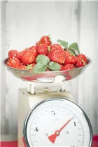 Fragaria x ananassa - Garten-Erdbeere Fragaria x ananassa - Garten-Erdbeere