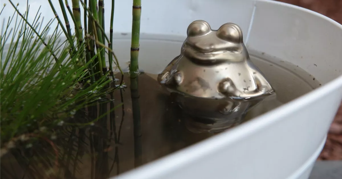  - Mini-Teich anlegen