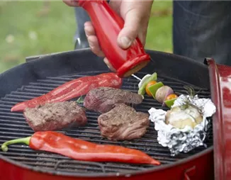 Einfach lecker! Frühes Angrillen ist das beste am Frühjahr